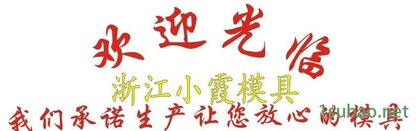 汽車模具 (80)