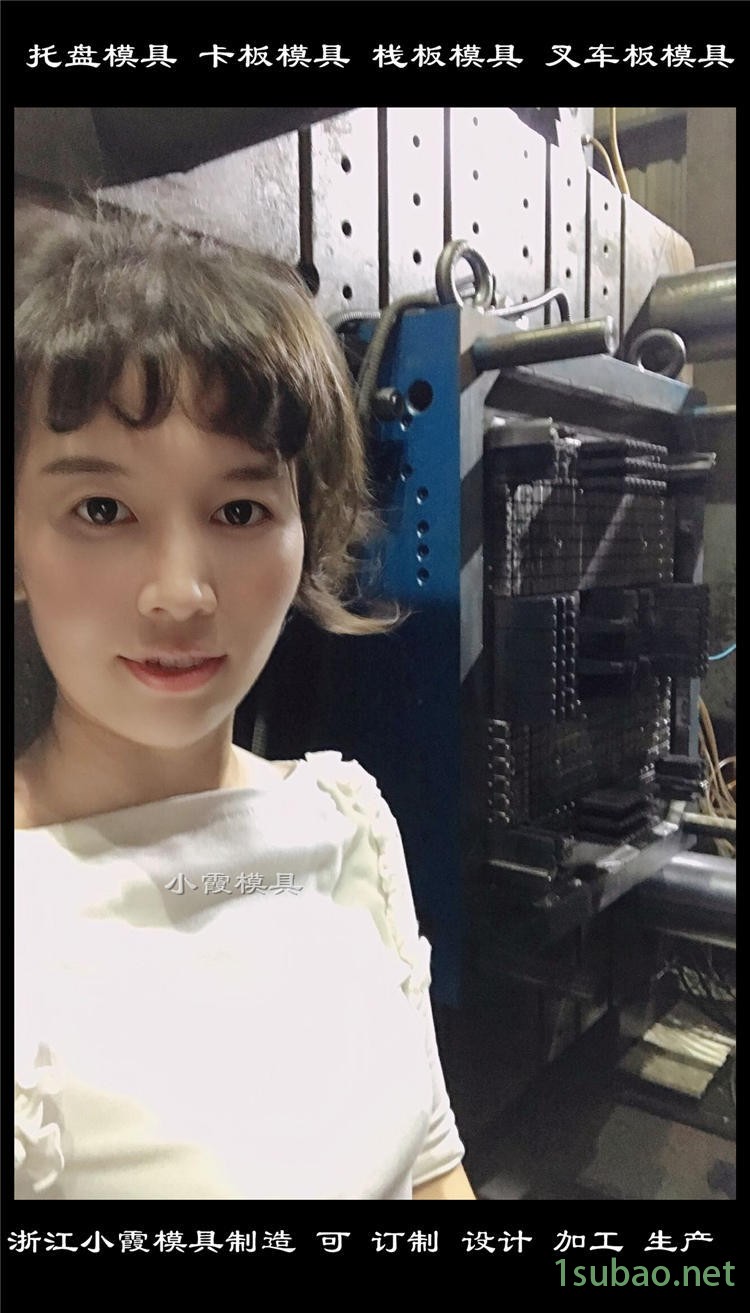 塑料托盤模具 (44)