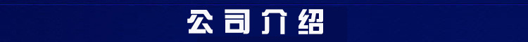 公司介绍