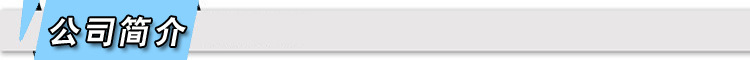 公司简介