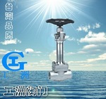 低溫截止閥DJ41W 工洲電站閥門-臺(tái)灣品質(zhì)-廠價(jià)直銷