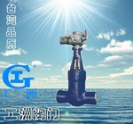 磅級(jí)電站閘閥Z61Y 工洲電站閥門-臺(tái)灣品質(zhì)-廠價(jià)直銷
