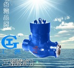 國(guó)標(biāo)電站止回閥H61Y 工洲電站閥門-臺(tái)灣品質(zhì)-廠價(jià)直銷