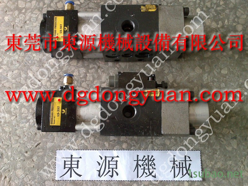 千昌 冲压机超负荷泵，安徽协易充气油泵  找 东永源