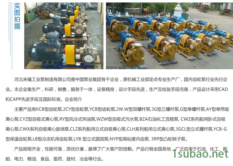 廠家批發 不銹鋼 KCB300 訂做kcb 齒輪油泵 齒輪泵示例圖12