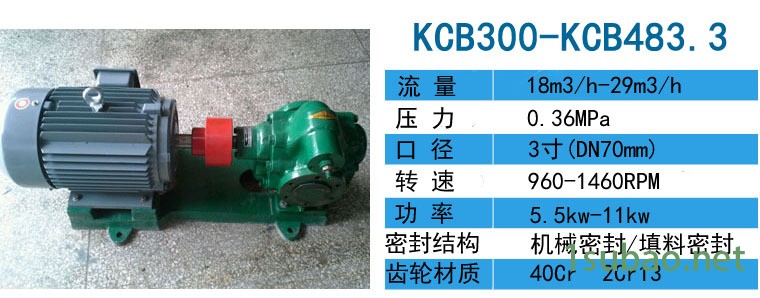 输送橄榄油泵用kcb300油泵,还可输送多种食用油泵示例图2