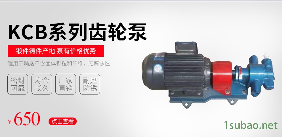 KCB-18.3臥式齒輪泵 衛生級不銹鋼齒輪泵 工業型齒輪油泵示例圖5