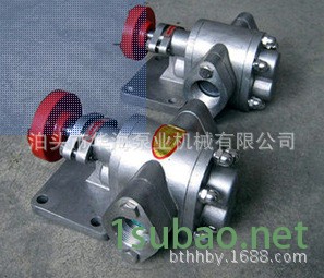 KCB-18.3臥式齒輪泵 衛生級不銹鋼齒輪泵 工業型齒輪油泵示例圖9