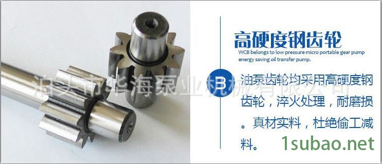 KCB-18.3臥式齒輪泵 衛生級不銹鋼齒輪泵 工業型齒輪油泵示例圖6
