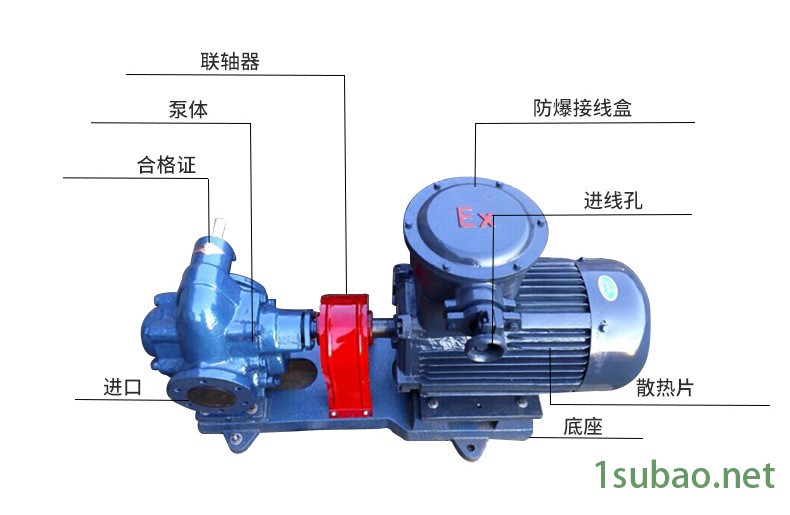 KCB-18.3臥式齒輪泵 衛生級不銹鋼齒輪泵 工業型齒輪油泵示例圖3