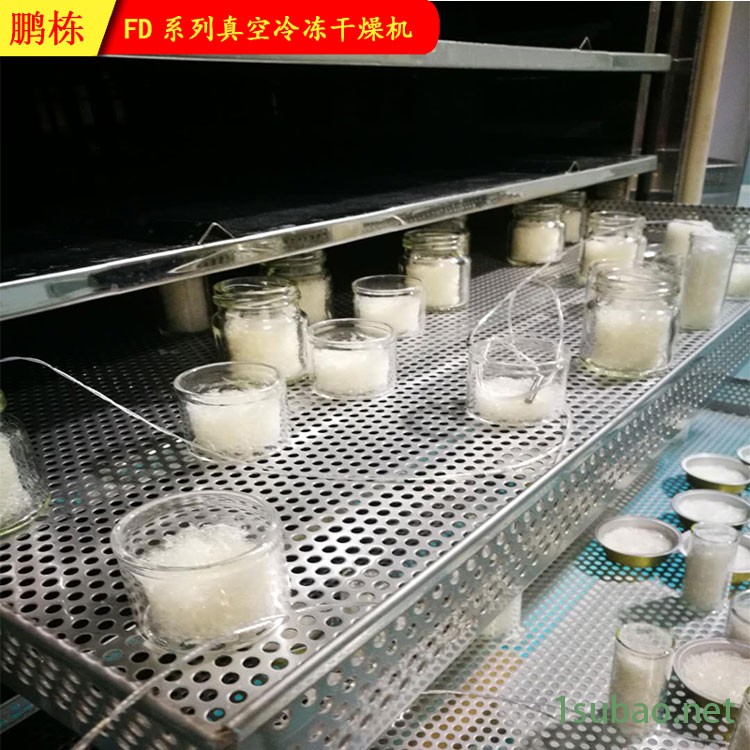 FD冻干红心火龙果粉设备 冻干火龙果片 植物提炼原料冻干机 果蔬材料干燥机图2
