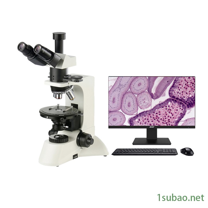 星明光学XMP-30偏光显微镜高分子 矿物 材料研究电脑成像图2