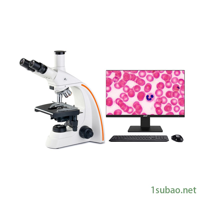 生物高端显微镜厂家组织切片微生物透明材料观察L2800星明光学显微镜图2