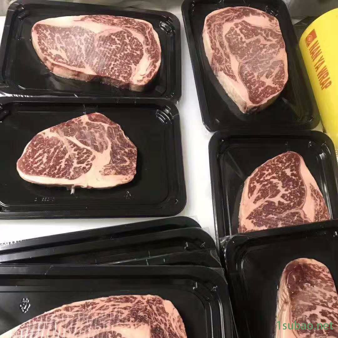 商用生鲜 海鲜贴体覆膜机 盒式保鲜膜真空包装机配德国进口泵图5