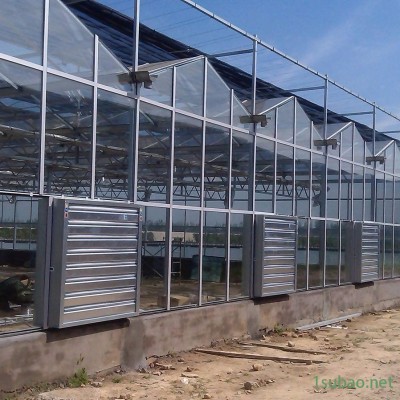 大棚温室工程 建达温室材料 温室大棚价格  连栋温室大棚 玻璃温室大棚