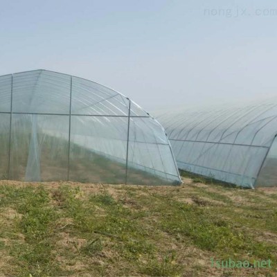 简易蔬菜大棚造价每亩地，钢架大棚管薄膜日光温室安装，搭建种植养殖材料 8米宽标准骨架