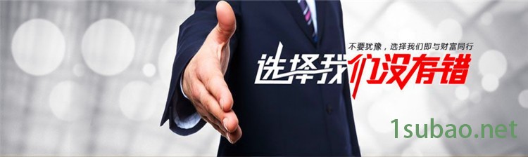 【专业定制】 精密电子伺服压力机 0.5T-20T 单柱 四柱 小型 直销示例图15