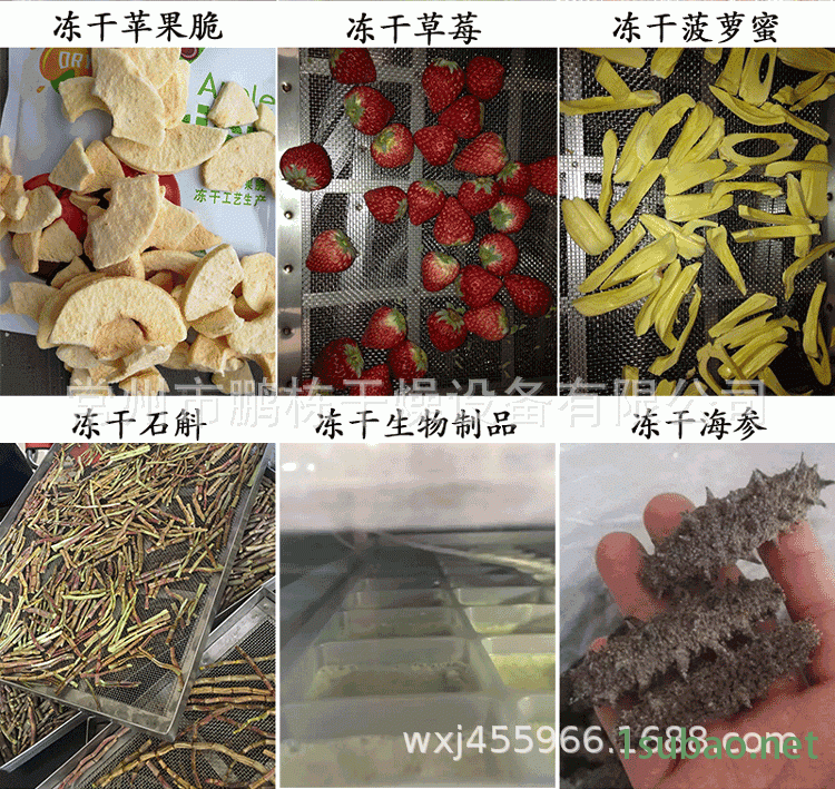 真空冷冻详情页2_03