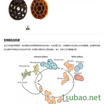 生物填料设备-华利德塑机-一出六生物填料设备