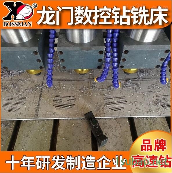 多功能数控龙门钻铣床图2