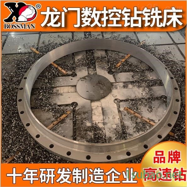 龙门移动式数控高速钻铣床图2