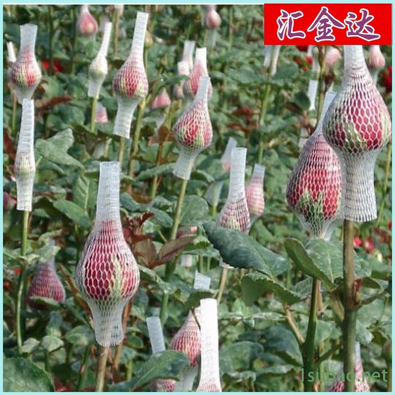 網套擠出機 臺灣絲瓜網套機 匯欣達75加長型