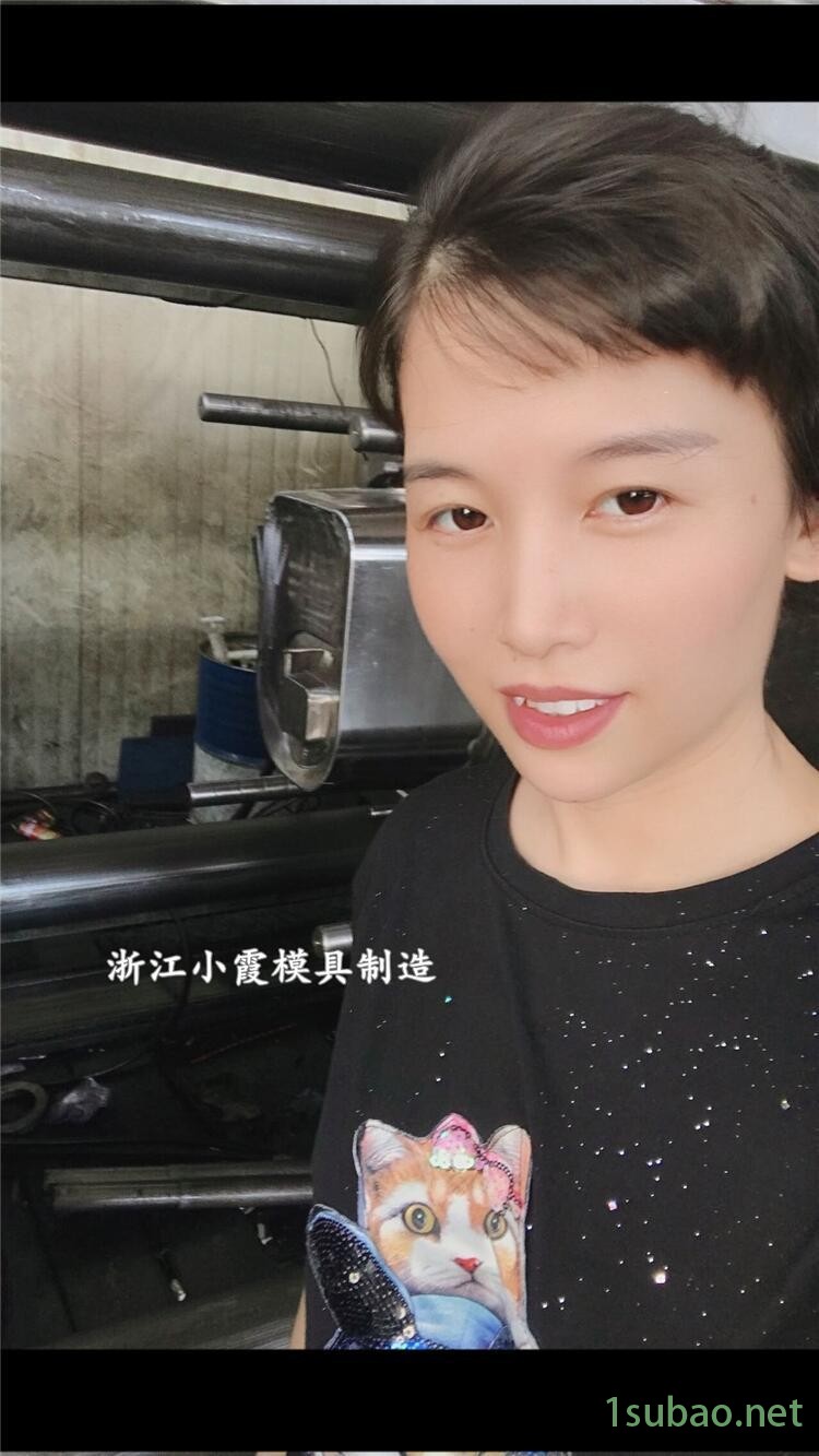 貓砂盆模具12