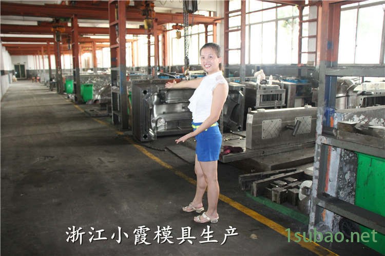汽車模具 (169)