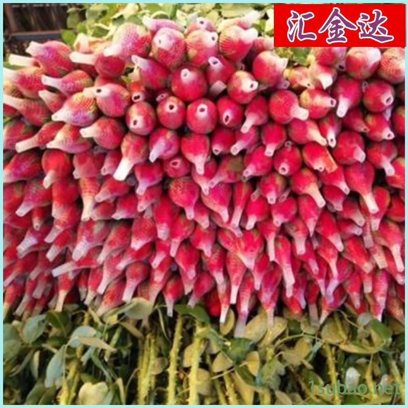 哪種網套機質量好三色沐浴花設備龍口匯欣達EPE網套發泡機