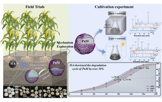 研究人員利用腐植酸加速聚氨酯微塑料降解，解決因控釋肥料導(dǎo)致的污染問題