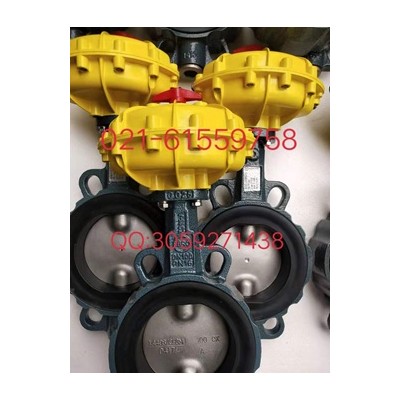 原装正品 德国依博罗EBRO气动扇形蝶阀