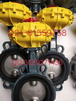 销售原装正品德国EBRO Z011-A型气动软密封蝶阀图4