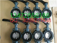 现货供应德国EBRO对夹蝶阀 手动蝶阀速发货 现货供应德国EBRO对夹蝶阀 手动蝶阀速发货