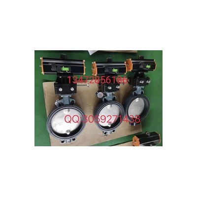 原装正品直销德国EBRO依博罗气动蝶阀DN40-DN500速发货