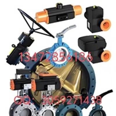 德国依博罗EBRO支耳式涡轮蝶阀Z014-A价格优惠规格齐全