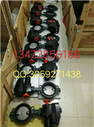 德国依博罗EBRO支耳式涡轮蝶阀Z014-A价格优惠规格齐全图4