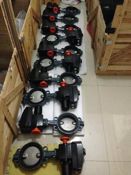 现货直销原装进口德国EBRO Z011-A型气动软密封蝶阀图3