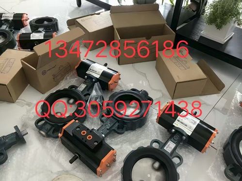 现货供应德国依博罗蝶阀Z011-A DN350规格齐全速发货图3