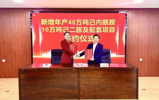 总投资60亿元！年产40万吨己内酰胺10万吨己二胺及配套项目签约