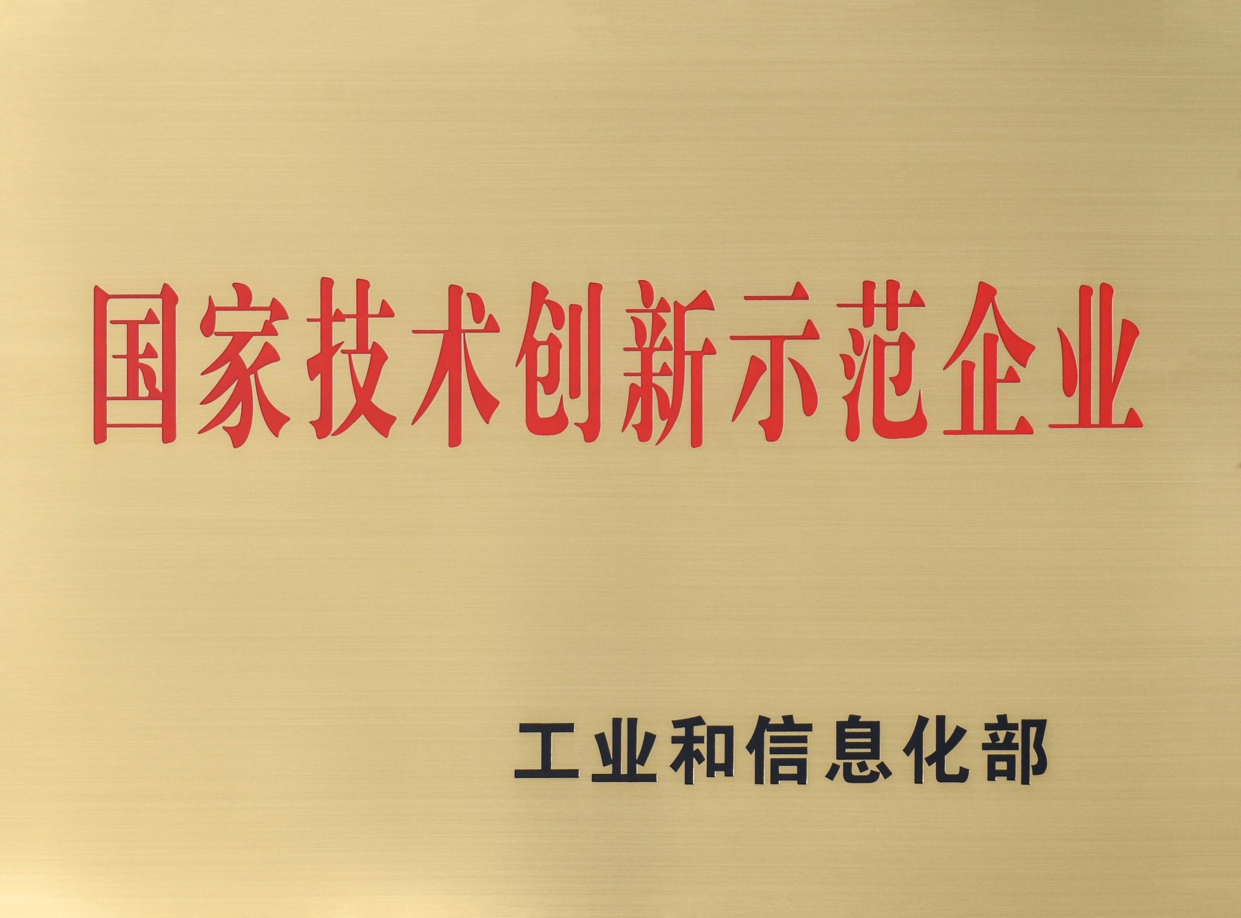 国家技术创新示范企业