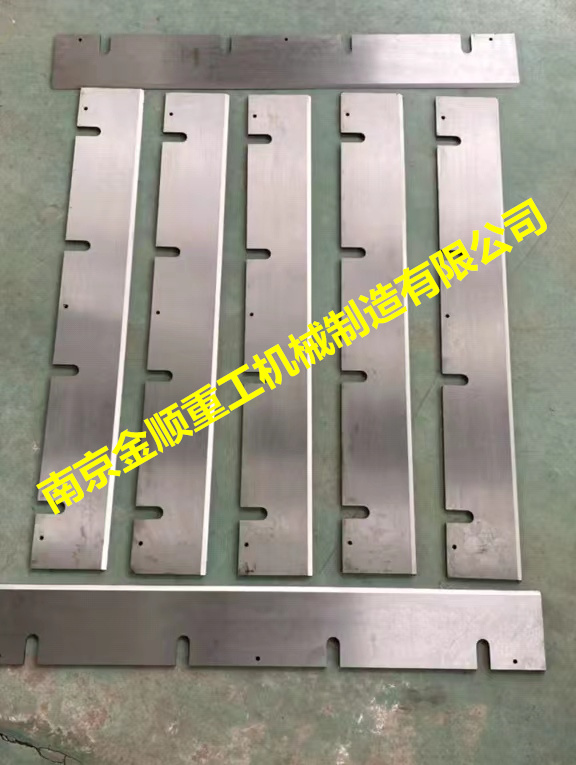 意大利Pessa环式刨片机刀片