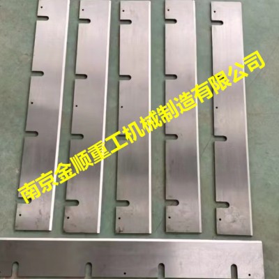 意大利Pessa环式刨片机刀片