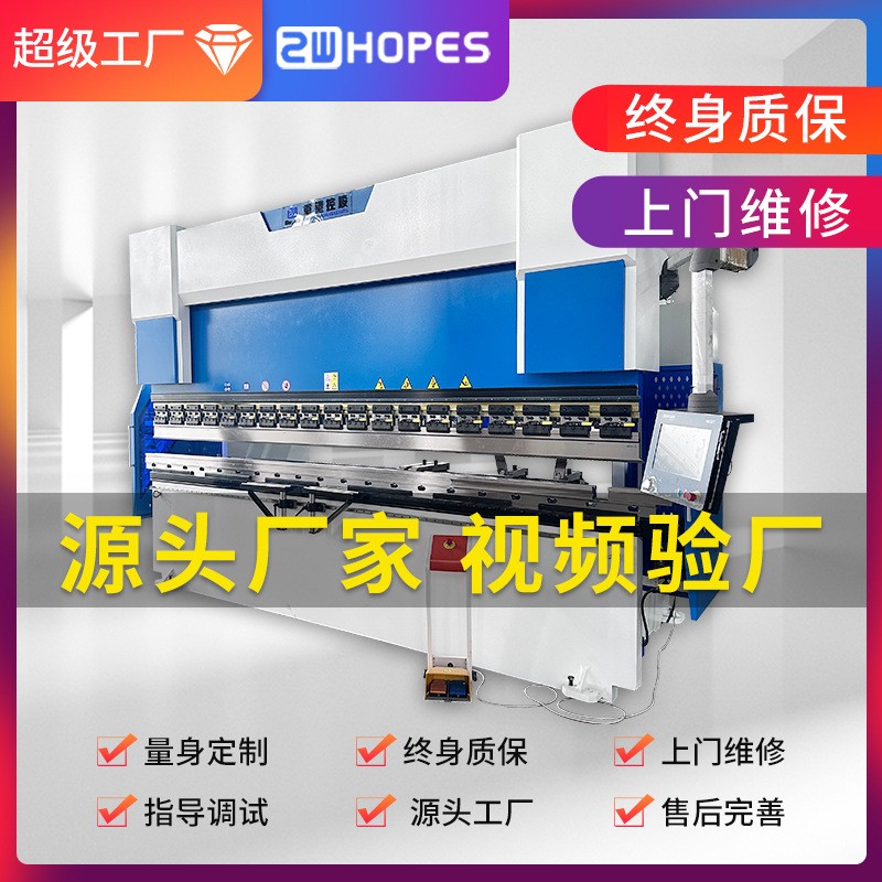 加工定制WC67Y折弯机 大型数控折弯机定制 全自动金属板材折弯机图2