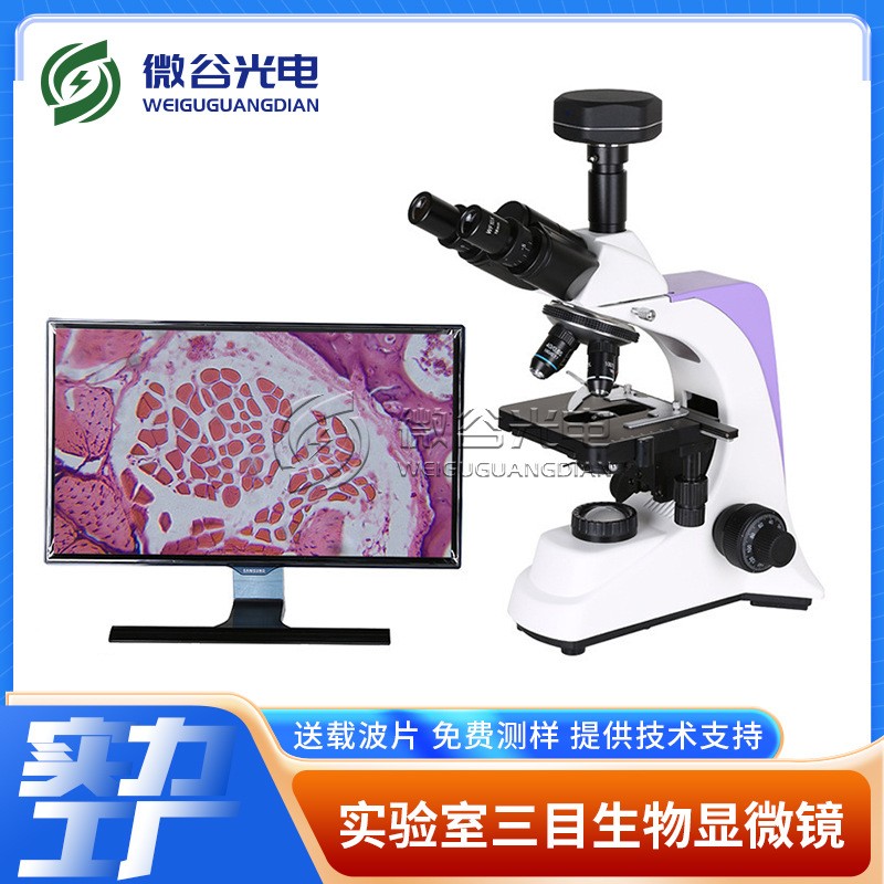 电脑型生物显微镜 学生三目数码显微镜 带自动计数显微镜厂家图2